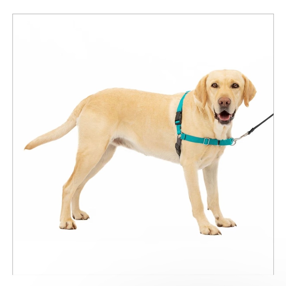 Petsafe easy walk harness